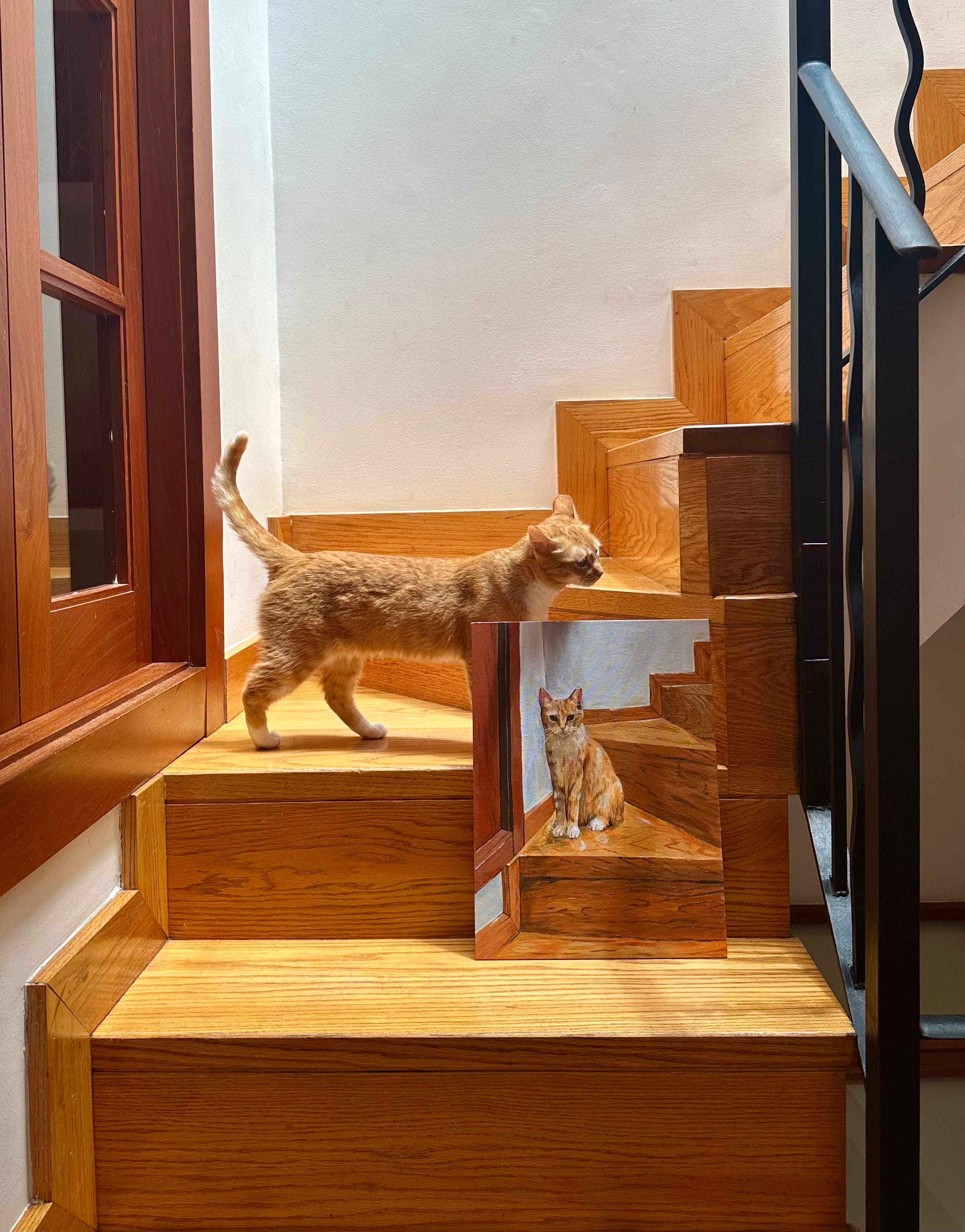 images/Escalera.jpg